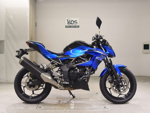 Kawasaki Z250SL 2016