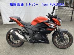 Kawasaki Z250 2014