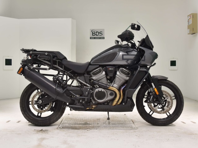 HD PAN AMERICA1250 S 2022