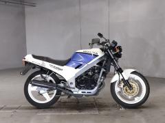 Honda VTZ250 1988