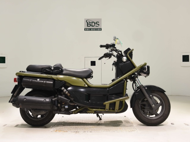 Honda PS250 BIG RUCKUS 2004