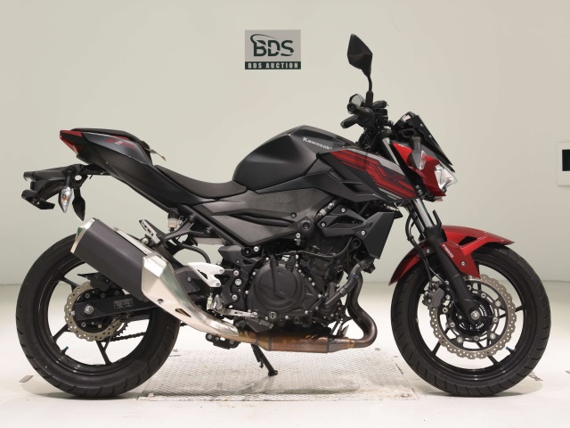 Kawasaki Z250 2019