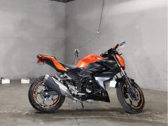 Kawasaki Z250 2014