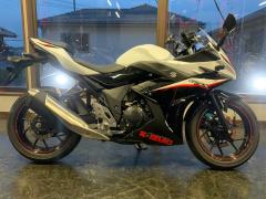 Suzuki GSX250R