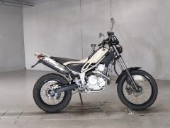 Yamaha TRICKER 2004