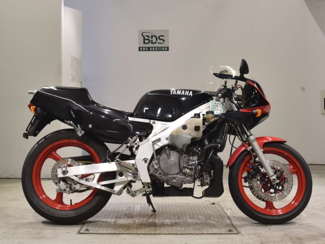 Yamaha TZR250 1989