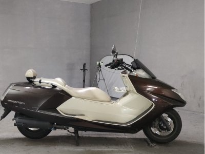 Yamaha MAGZAM 2007