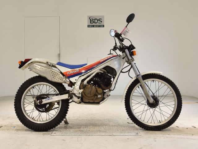 Honda TLR250R 1986