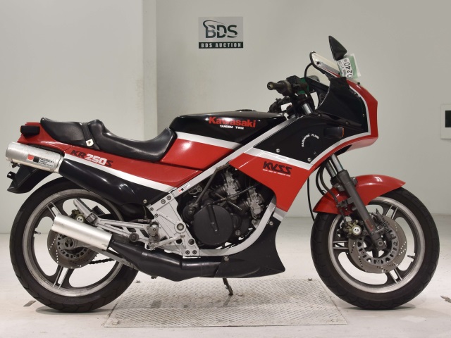 Kawasaki KR250S 1985