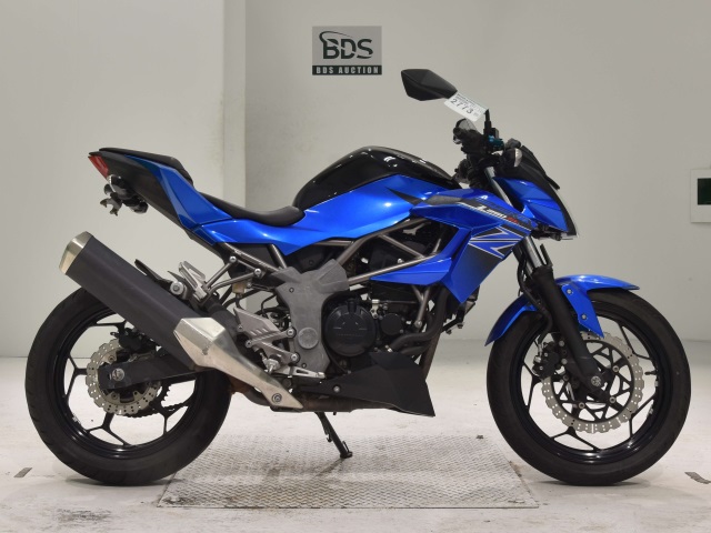 Kawasaki Z250SL 2016