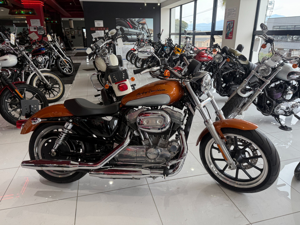 HD SPORTSTER XL883R 2015