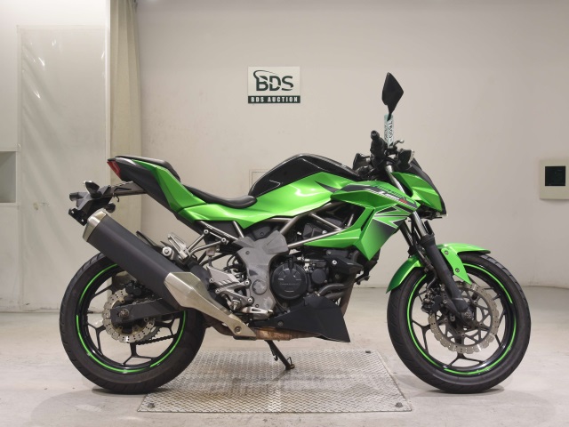 Kawasaki Z250SL 2016