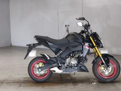 Kawasaki Z125 PRO 2021