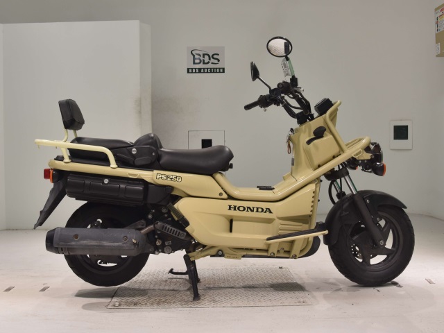 Honda PS250 BIG RUCKUS 2006