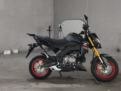 Kawasaki Z125 PRO 2021