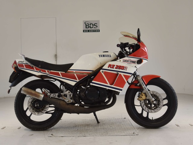 Yamaha RZ250RR 1984
