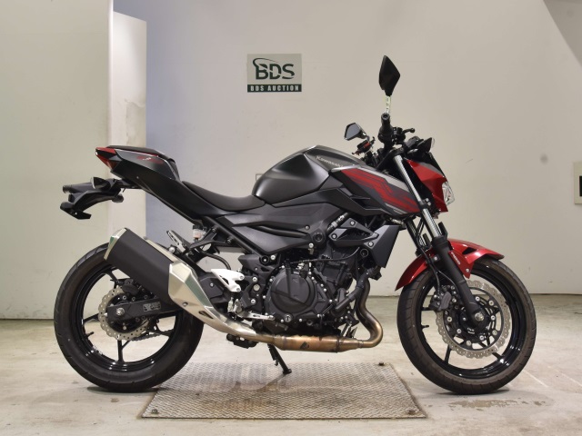 Kawasaki Z250 2019