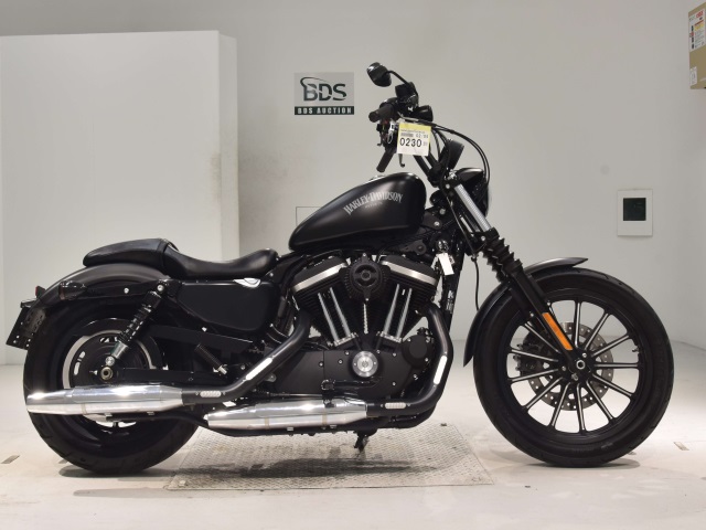 HD SPORTSTER IRON XL883N 2015