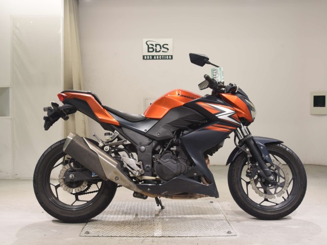 Kawasaki Z250 2014