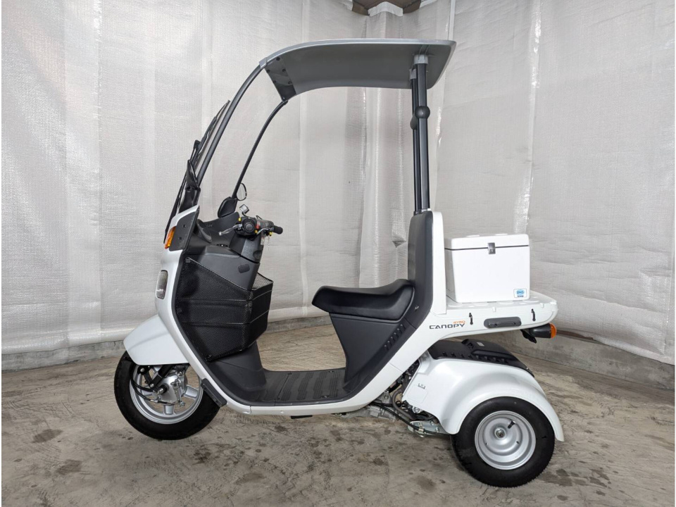 Honda GYRO CANOPY 2019