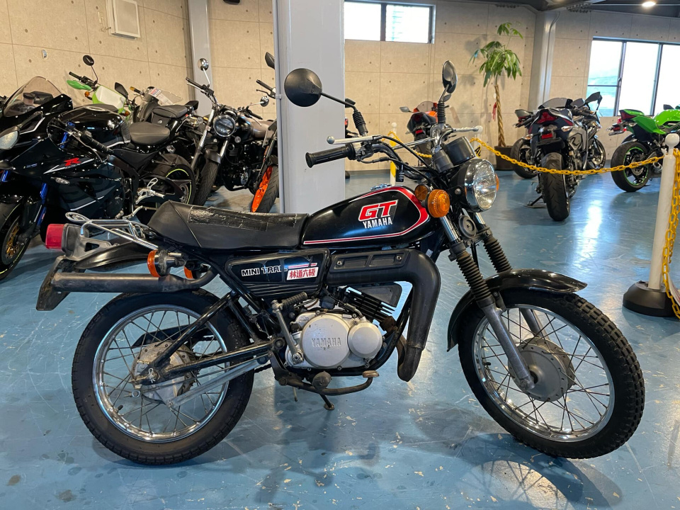 Yamaha GT50