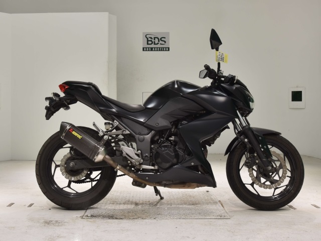 Kawasaki Z250 2014