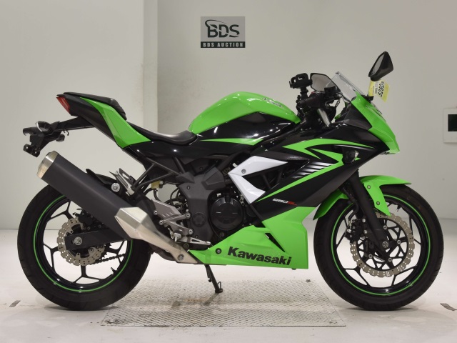 Kawasaki NINJA250 2015