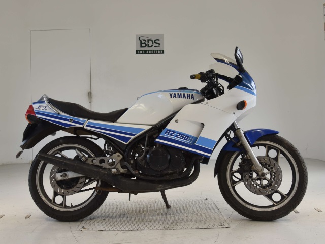 Yamaha RZ250RR 1984