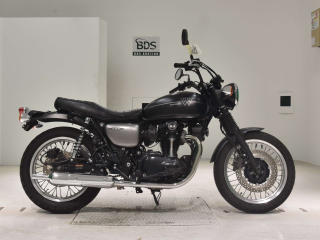 Kawasaki W800 2019