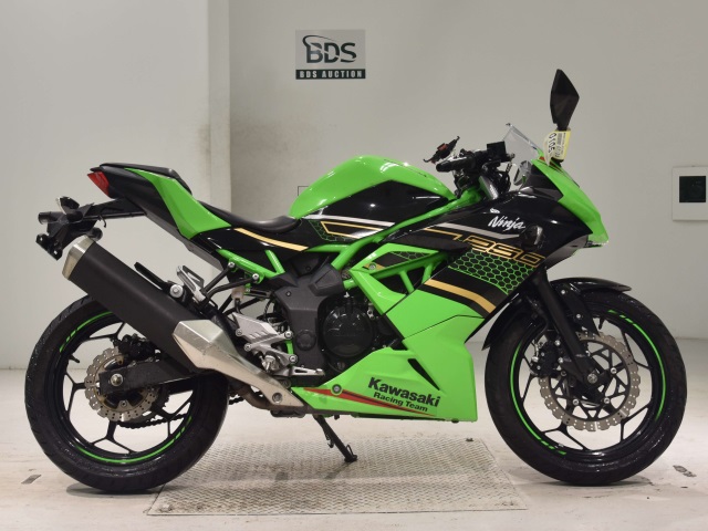 Kawasaki NINJA250 2020