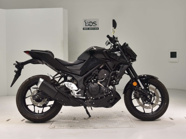 Yamaha MT-25 2021