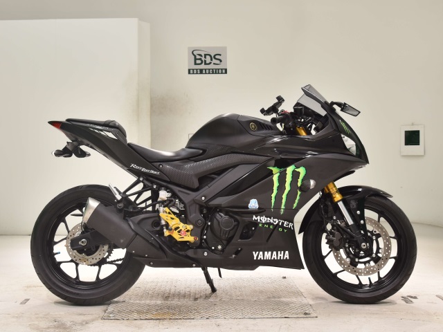 Yamaha YZF-R3 2019