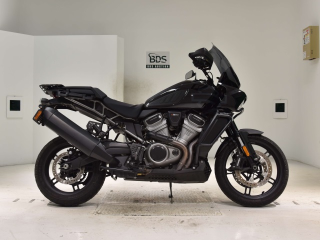 HD PAN AMERICA1250 S 2022