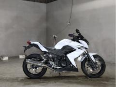 Kawasaki Z250 2013