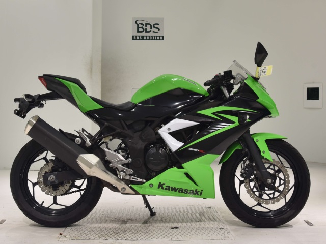 Kawasaki NINJA250 2015