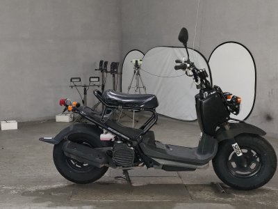 Honda ZOOMER 2008