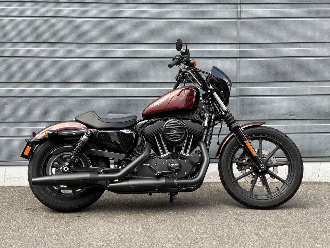 HD IRON XL1200NS 2019