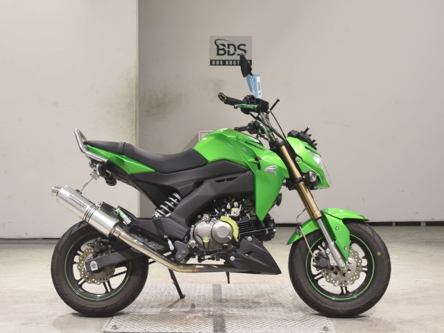 Kawasaki Z125 PRO 2016