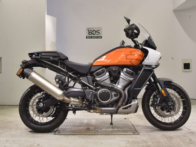 HD PAN AMERICA1250 S 2021
