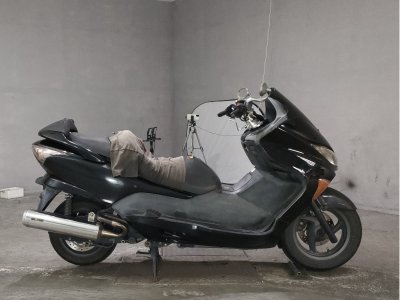 Honda FORZA Z 2006