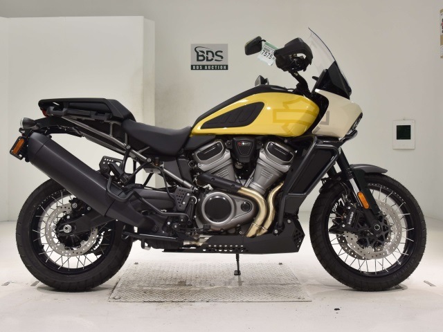 HD PAN AMERICA1250 S 2024