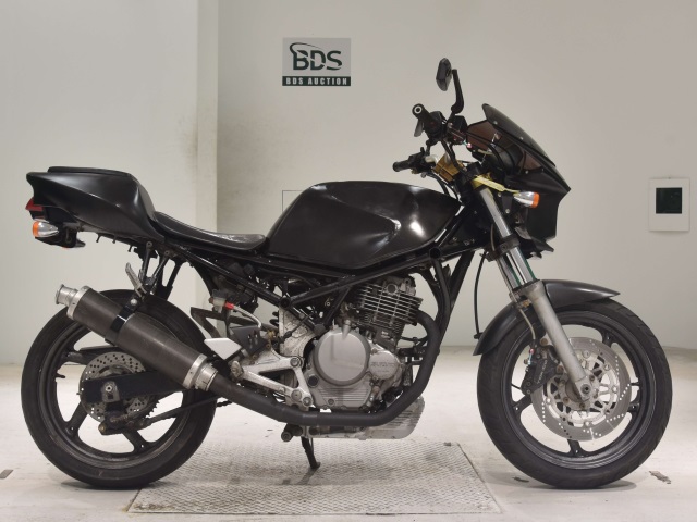 Suzuki GOOSE250 1992