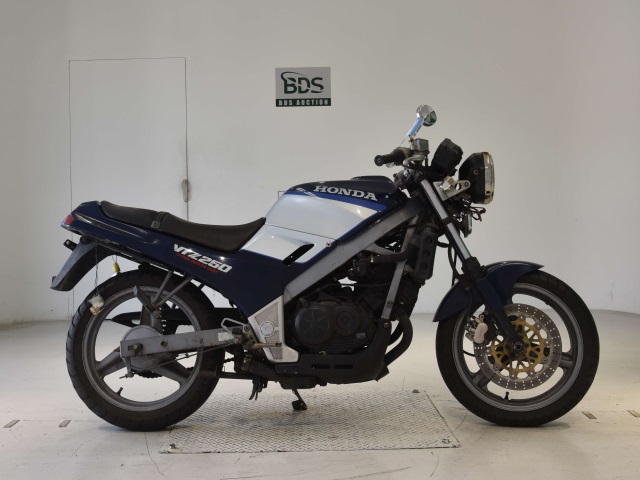 Honda VTZ250 1988