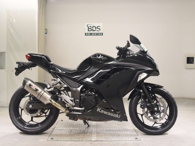 Kawasaki NINJA250 2013