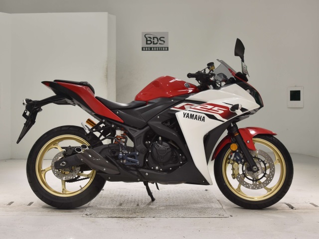 Yamaha YZF-R25 2015