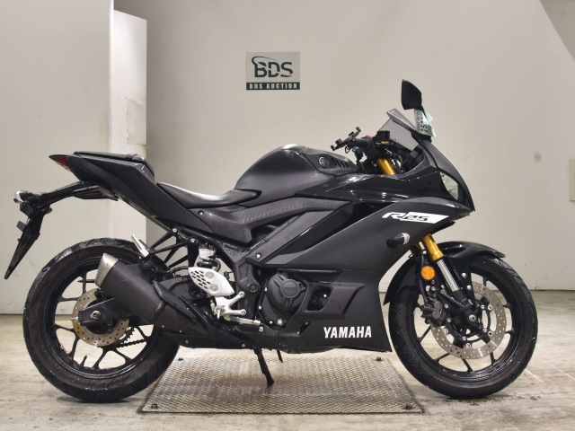 Yamaha YZF-R25 2019