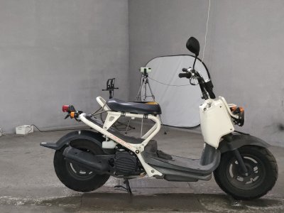 Honda ZOOMER 2001