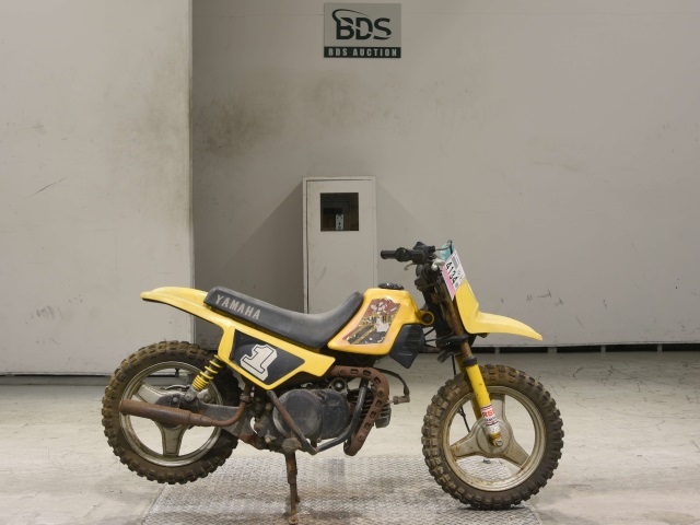 Yamaha PW50