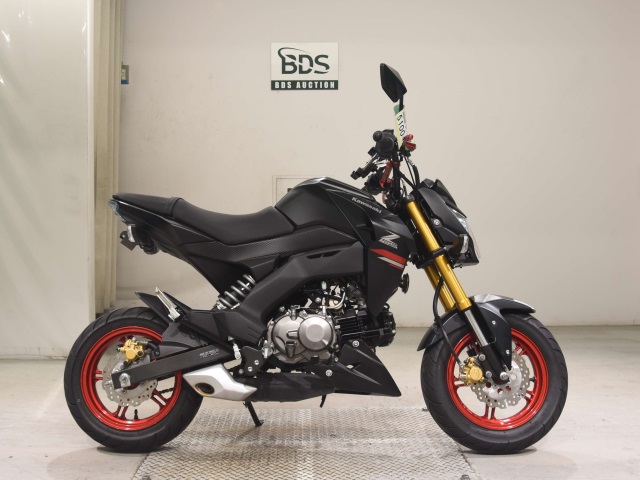 Kawasaki Z125 PRO 2021