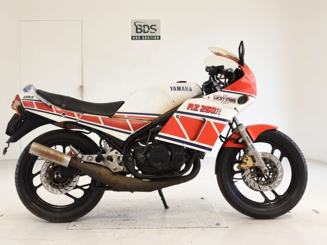 Yamaha RZ250RR 1984
